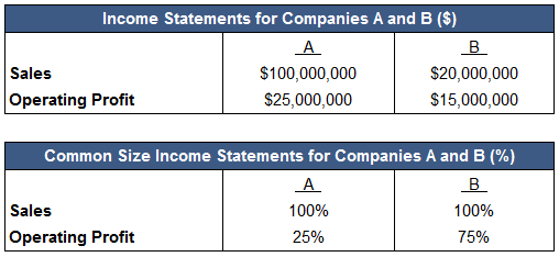 how to common size financial statements investinganswers common size financial statements
